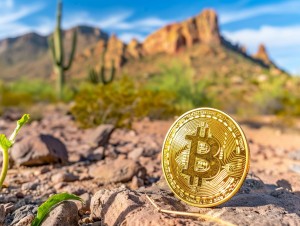 Arizona Senate pushes for Bitcoin ETF inclusion in state retirement funds